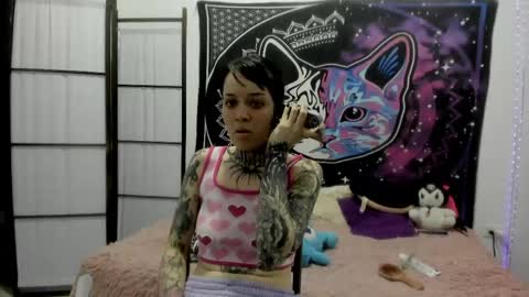 daryimiau online show from April 11, 2026, 11:09 pm