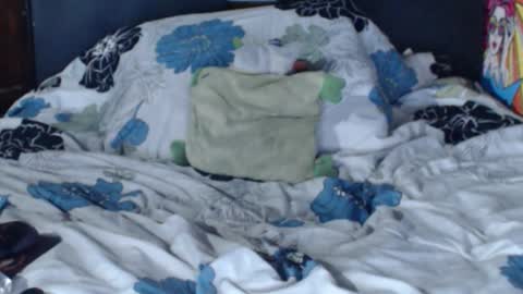 dasha6 online show from February 12, 2025, 7:23 am