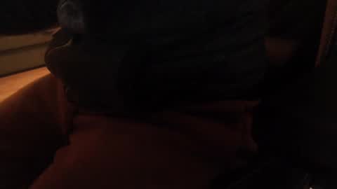 Snapshot of davdao3 chatting on December 20, 2024, 10:38 am davdao3 online show from December 20, 2024, 10:38 am