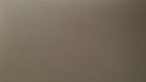 Snapshot of davdao3 chatting on February 17, 2025, 10:29 am davdao3 online show from February 17, 2025, 10:29 am