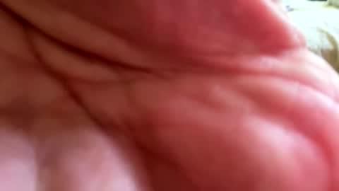 Exhibit A online show from November 5, 2025, 4:07 pm