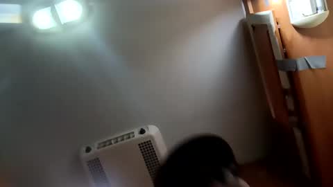 David1438 online show from December 15, 2024, 11:55 am