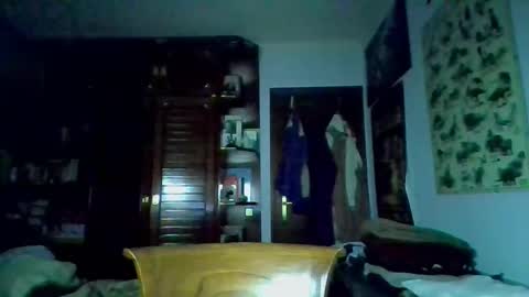 david33333333 online show from March 9, 2025, 4:33 pm