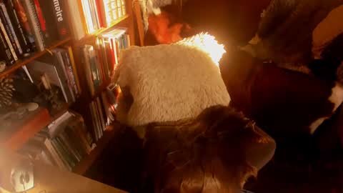 Snapshot of davidbo_no1 chatting on January 15, 2025, 11:10 am David online show from January 15, 2025, 11:10 am