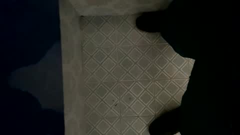 davzsoher online show from January 6, 2025, 8:07 pm