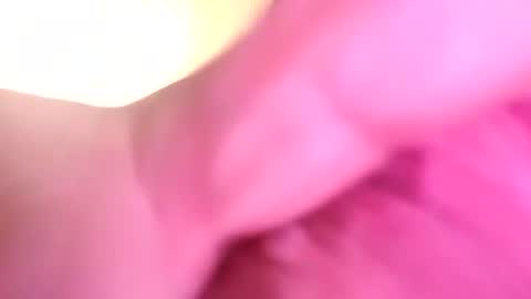 Snapshot of dazzaboxer chatting on November 16, 2025, 1:44 am dazzaboxer online show from November 16, 2025, 1:44 am