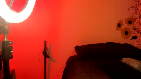 venus  adam online show from December 4, 2024, 2:31 am