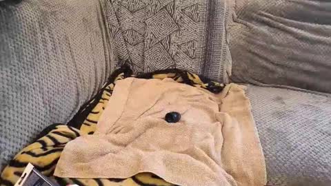 deepandwet86 online show from February 28, 2026, 10:05 am