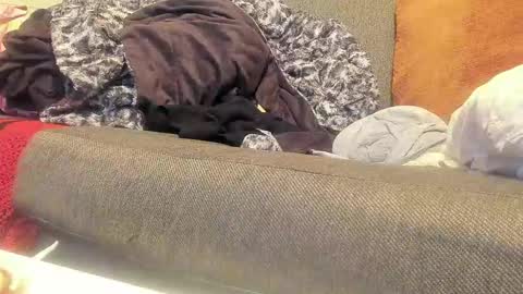 Deez Nutz online show from September 9, 2025, 1:38 am