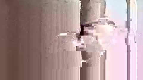 Snapshot of deezy305 chatting on May 31, 2026, 4:14 pm deezy305 online show from May 31, 2026, 4:14 pm