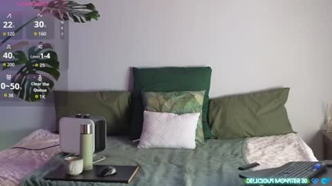Kitty online show from June 9, 2026, 8:04 am