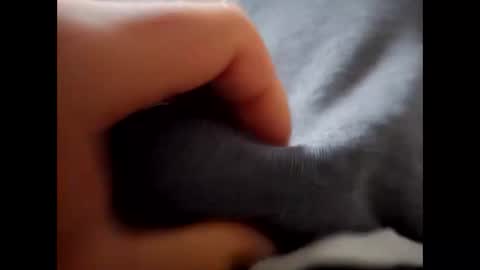 deliv_shopi online show from December 1, 2025, 9:47 am