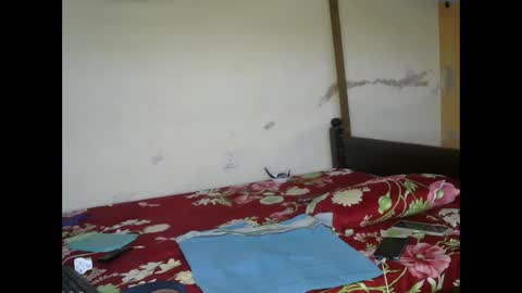 Ginger online show from March 3, 2025, 3:52 am