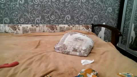 DennisXCarol online show from February 18, 2025, 12:39 pm