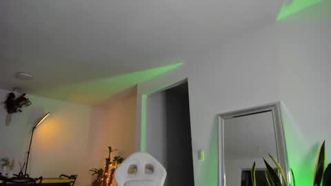 Diego online show from February 26, 2025, 8:04 am