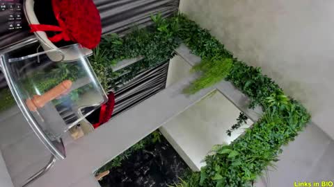 Jo online show from February 8, 2025, 3:08 am