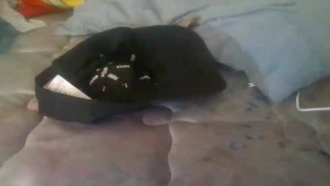 diamondeye112 online show from December 23, 2025, 5:05 am