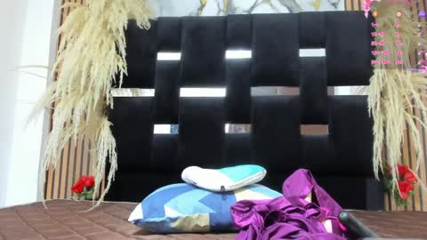 Snapshot of dianarossee chatting on June 9, 2026, 11:44 am dianarossee online show from June 9, 2026, 11:44 am