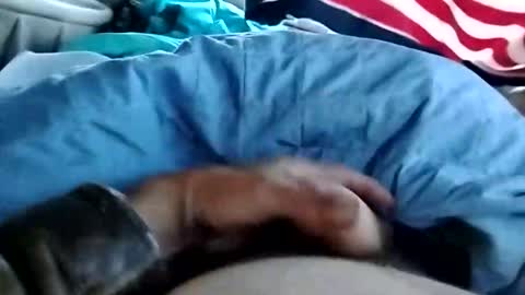 Snapshot of dickbowen64 chatting on November 1, 2025, 1:57 pm Dickbowen online show from November 1, 2025, 1:57 pm