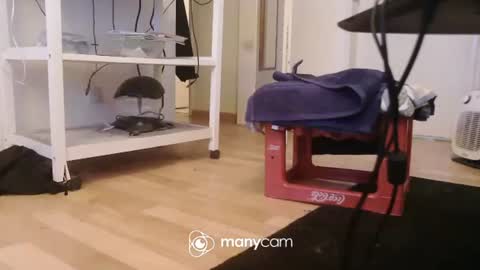 Kevin S. online show from December 17, 2025, 9:59 am