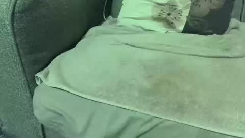 dickwack4u online show from January 10, 2026, 2:24 am