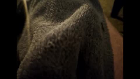 Snapshot of dilf232323 chatting on January 16, 2025, 6:35 am Dilf online show from January 16, 2025, 6:35 am