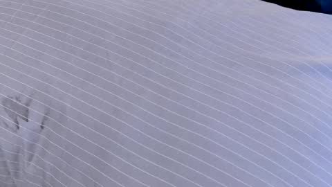 Dilldough405 online show from February 24, 2025, 7:55 am