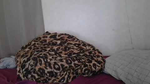 Sofie online show from January 22, 2025, 6:31 am