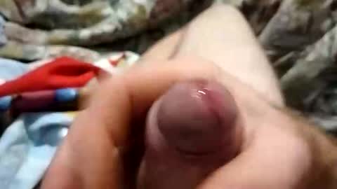 dingo_250 online show from September 19, 2025, 4:07 pm