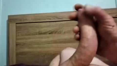 dingo_250 online show from September 28, 2025, 1:38 pm