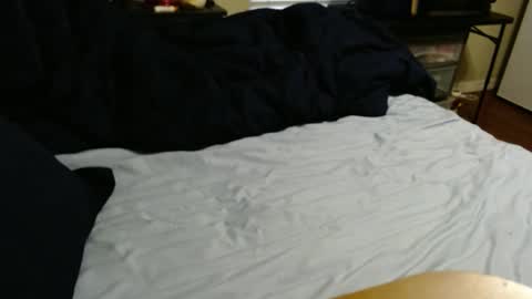 dino695802 online show from September 11, 2025, 9:59 pm