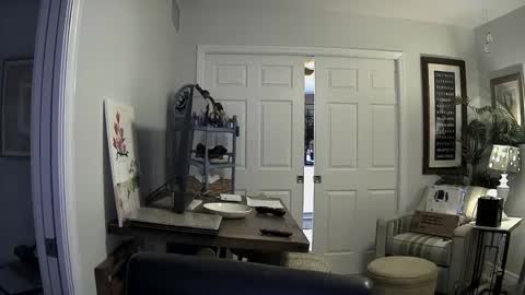 DirtkPitt Fun guy working online show from January 2, 2025, 3:05 am