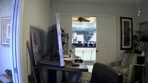 DirtkPitt Fun guy working online show from January 3, 2025, 4:37 pm