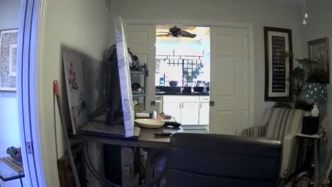 DirtkPitt Fun guy working online show from January 3, 2025, 7:39 pm