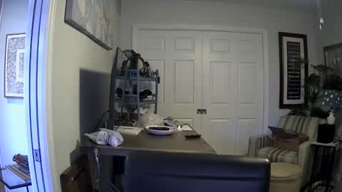 DirtkPitt Fun guy working online show from January 4, 2025, 6:40 pm