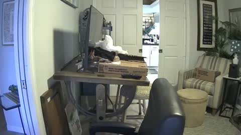 DirtkPitt Fun guy working online show from January 21, 2025, 7:17 pm