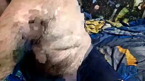 dirtmcgirt82 online show from April 18, 2026, 6:06 am