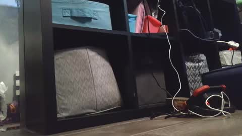 Daisy Wylde online show from December 27, 2024, 11:21 pm