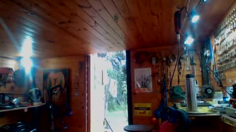 discretopasivo online show from June 13, 2026, 5:00 pm