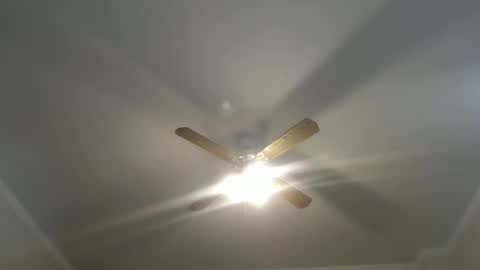 Your Best Worst Nightmare online show from January 12, 2025, 4:52 am