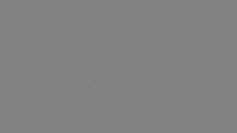 Your Best Worst Nightmare online show from January 26, 2025, 5:13 pm