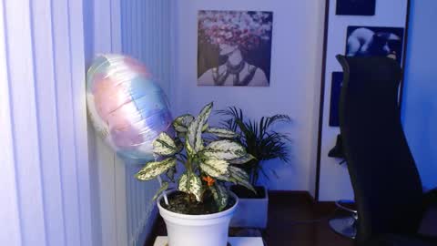 Snapshot of divineisis chatting on November 28, 2025, 10:07 am Hera online show from November 28, 2025, 10:07 am