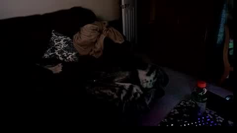 Hansel and Gretle online show from April 4, 2026, 2:43 am