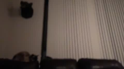 DJ Chaterbate online show from February 4, 2026, 8:31 am