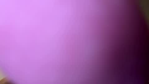 djacko681 online show from January 21, 2025, 5:09 pm