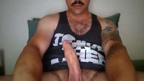 dk420mwa online show from February 9, 2026, 6:50 am