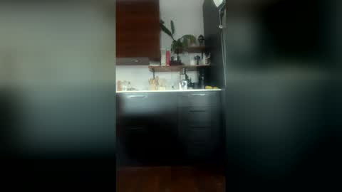 dm9313 online show from April 27, 2026, 10:13 am