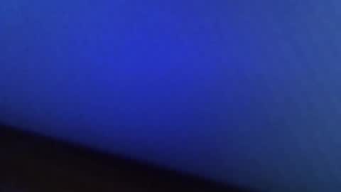 dn10 online show from February 8, 2025, 9:56 am