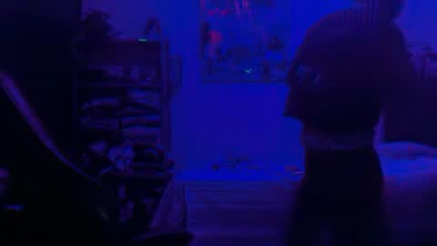 Dogboi online show from June 25, 2026, 4:34 am