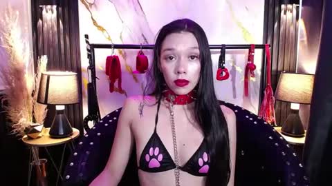 doll4anall online show from June 9, 2026, 7:14 pm